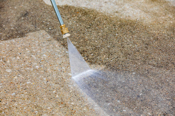 Best Animal Enclosure Cleaning  in Cypress, CA